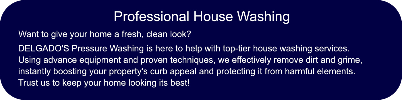 Professional House Washing