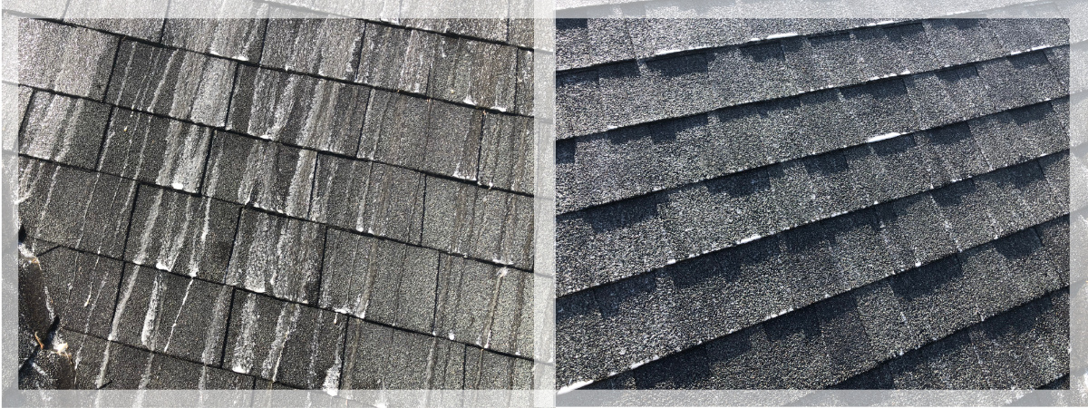 Roof Washing before & after Why Clean Roof?