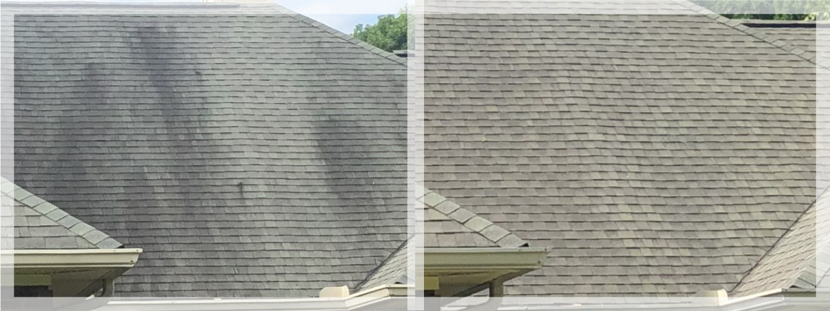 Roof Washing before & after